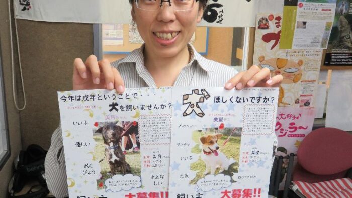 成犬の里親大募集！！一般財団法人 沖縄県公衆衛生協会 岸信朋さん♪